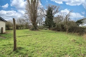 Photo 2- click for photo gallery